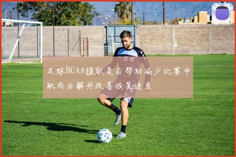 足球BCAA摄取是否帮助减少比赛中肌肉分解并改善恢复速度