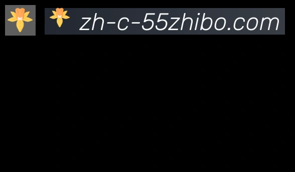 55直播合作伙伴